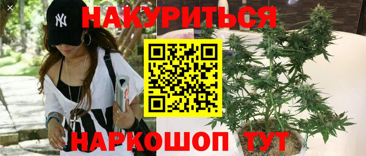 Каннабис планчик  Вход с VPN  Геленджик  Бошки Шишки семена  Каннабис THC 21%  Каннабис планчик 
